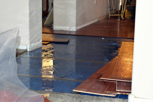 Professional Water Damage technician working in Prague, OK